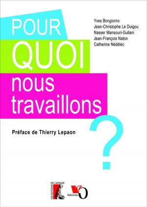 Cover of the book Pour quoi nous travaillons ? by Fatima Besnaci-Lancou