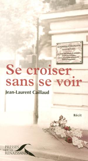 Cover of the book Se croiser sans se voir by Denis TILLINAC