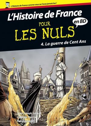 Book cover of Histoire de France en BD Pour les Nuls, Tome 4