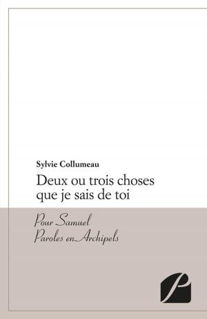 Cover of the book Deux ou trois choses que je sais de toi by Bernard Dulac
