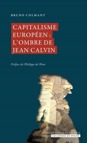 Book cover of Capitalisme européen : l'ombre de Jean Calvin