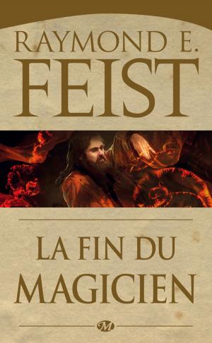 Cover of the book La Fin du Magicien by Stan Nicholls