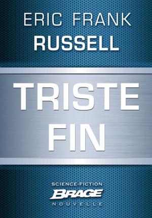 Cover of the book Triste fin by Mélanie Fazi