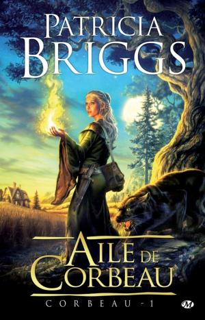 Cover of the book Aile de Corbeau by Margaret Weis, Tracy Hickman