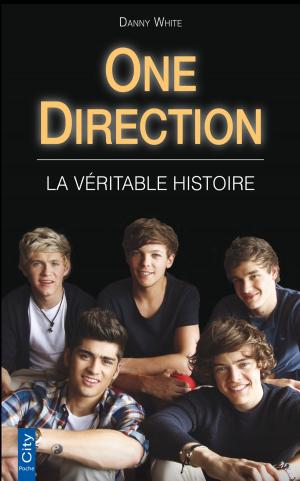 Cover of the book One Direction by Sophie Henrionnet
