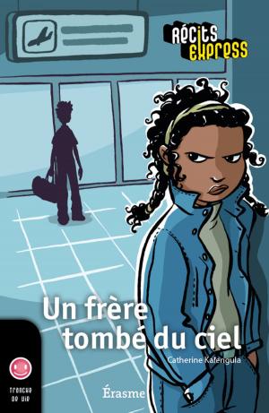 Cover of the book Un frère tombé du ciel by Véronique Marien, Récits Express