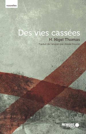 Cover of the book Des vies cassées by Gilles Bibeau
