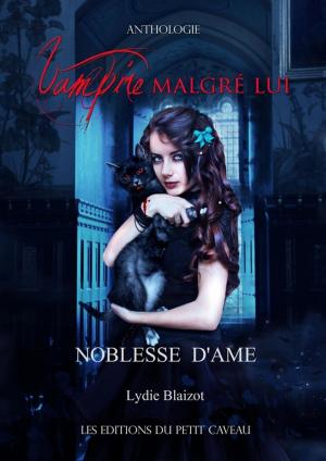Cover of the book Noblesse d'âme by Lydie Blaizot