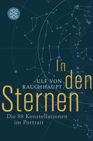 Book cover of In den Sternen