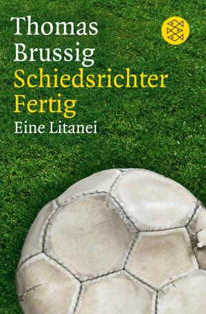 Cover of the book Schiedsrichter Fertig by Dieter Kühn