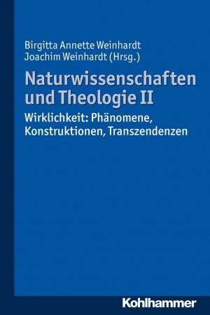 Cover of the book Naturwissenschaften und Theologie II by Dieter Verbeck