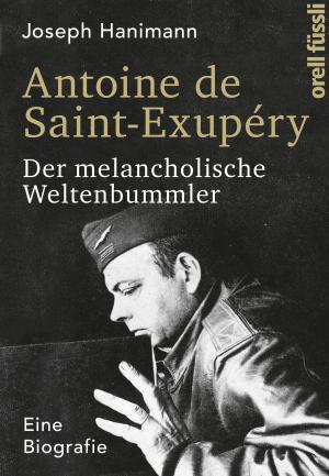 Cover of the book Antoine de Saint-Exupéry by Alfred Schlicht