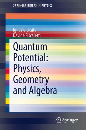 Book cover of Quantum Potential: Physics, Geometry and Algebra