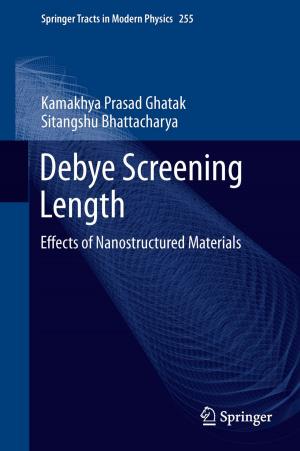 Cover of the book Debye Screening Length by Luca Martino, David Luengo, Joaquín Míguez