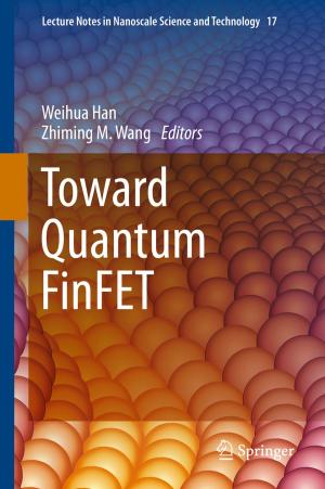 Cover of the book Toward Quantum FinFET by Nurudeen A. Oladoja, Emmanuel I. Unuabonah, OMOTAYO S. AMUDA, Olatunji M. Kolawole