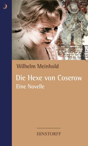 Cover of the book Die Hexe von Coserow by Frank Schlößer