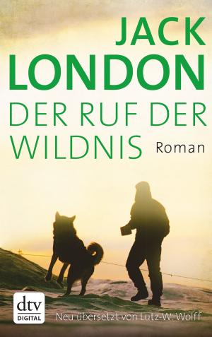 Cover of the book Der Ruf der Wildnis by Andrzej Sapkowski