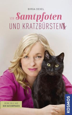 Cover of the book Samtpfoten und Kratzbürsten by Fran Vines