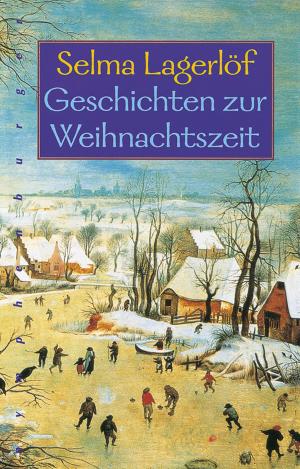 Cover of the book Geschichten zur Weihnachtszeit by Manfred Mohr