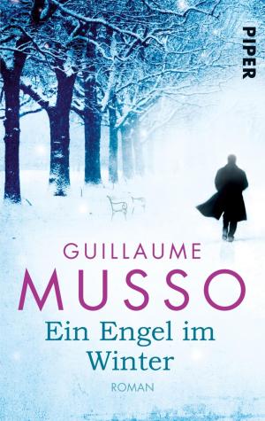 Cover of the book Ein Engel im Winter by Markus Heitz