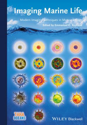 Cover of the book Imaging Marine Life by Liz Gallacher, Helen Morris