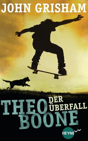 Cover of the book Theo Boone - Der Überfall by Tom Clancy