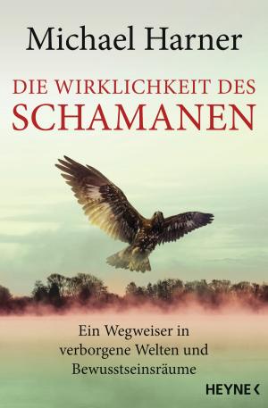Cover of the book Die Wirklichkeit des Schamanen by Dan Millman