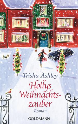 Cover of the book Hollys Weihnachtszauber by Sandra Gladow