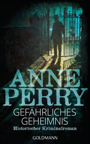 Book cover of Gefährliches Geheimnis