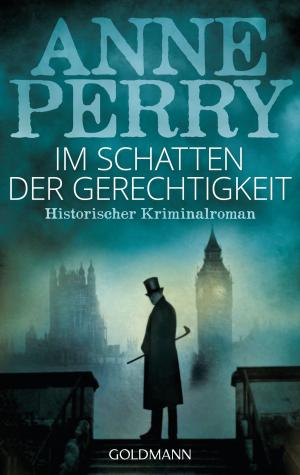 Cover of the book Im Schatten der Gerechtigkeit by Merry Brooks