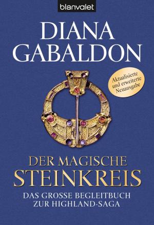 Book cover of Der magische Steinkreis