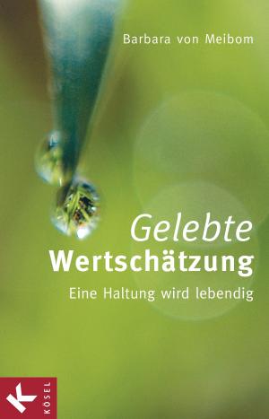 Cover of the book Gelebte Wertschätzung by Robert Rauh