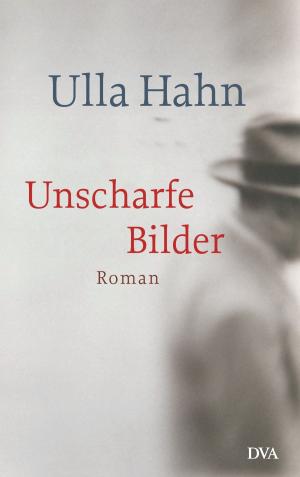 Cover of the book Unscharfe Bilder by Cornelia Travnicek