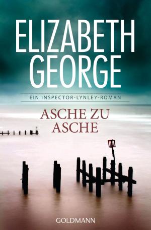 Cover of the book Asche zu Asche by Anne Nina Simoens, Anja Pallasch