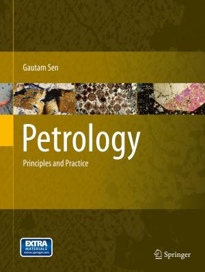 Cover of the book Petrology by Cesar A. Barbero, Gyözö G. Láng