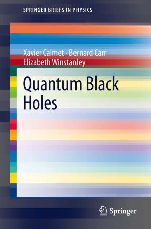 Cover of the book Quantum Black Holes by Falk Bornstaedt, Rüdiger Zarnekow, Jochen Wulf
