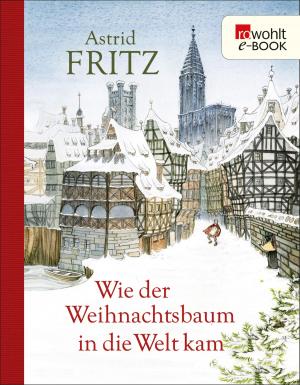 Cover of the book Wie der Weihnachtsbaum in die Welt kam by Stewart O'Nan