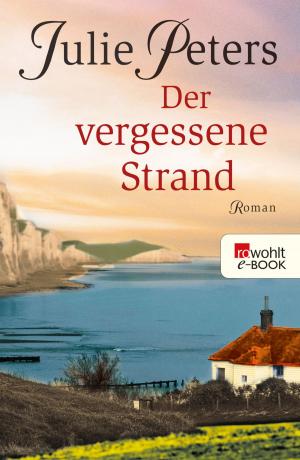 Cover of the book Der vergessene Strand by Jochen Buchsteiner