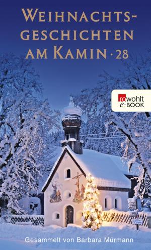 Book cover of Weihnachtsgeschichten am Kamin 28