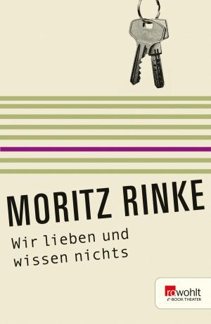 Cover of the book Wir lieben und wissen nichts by Nicolas Dierks