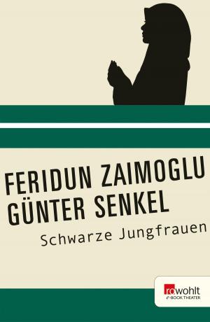 Book cover of Schwarze Jungfrauen