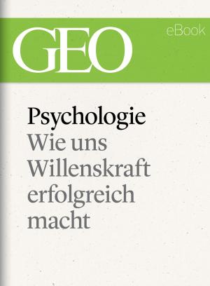 Cover of the book Psychologie: Wie uns Willenskraft erfolgreich macht by Sergio Burdelis