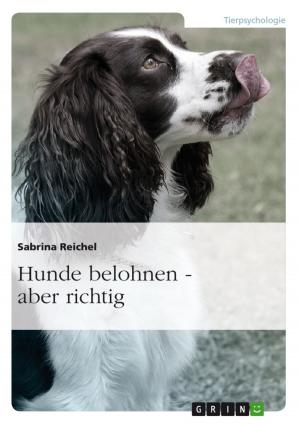 Cover of the book Hunde belohnen - aber richtig by Maria Neidhold
