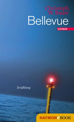Cover of the book Bellevue by Martina Winkelhofer