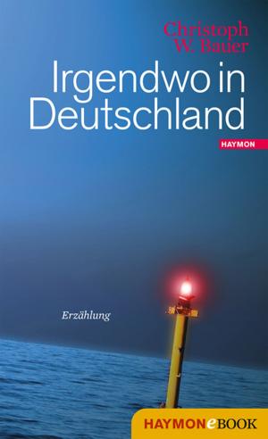 Cover of the book Irgendwo in Deutschland by Jürg Amann