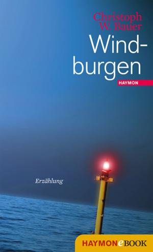 Cover of the book Windburgen by Jürg Amann