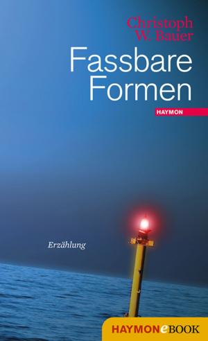 Cover of the book Fassbare Formen by Lisa Lercher