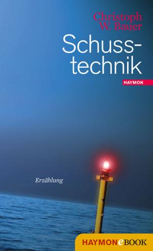 Cover of the book Schusstechnik by Felix Mitterer