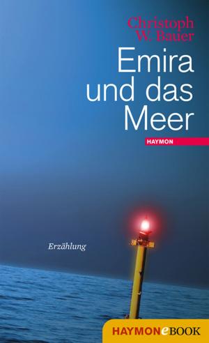 Cover of the book Emira und das Meer by Klaus Merz
