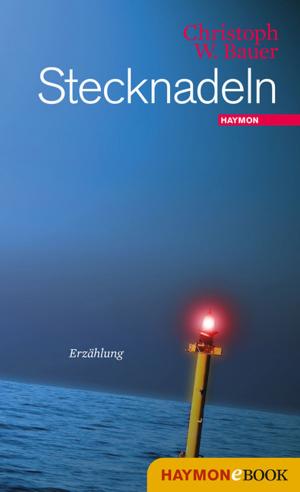 Cover of the book Stecknadeln by Peter Wehle